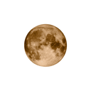 Mission to the Moon - Moonshine™ Gold - VELCRO© Strap. - OM Luxury